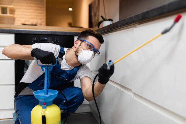 Best Mosquito Control Services  in Caryville, TN