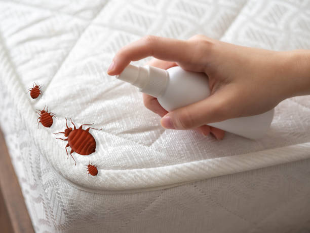 Best Affordable Pest Control Services  in Caryville, TN