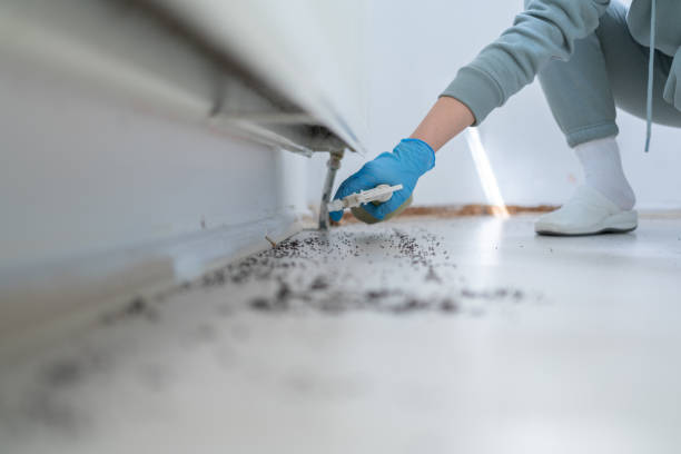 Best Wasp Removal Services  in Caryville, TN